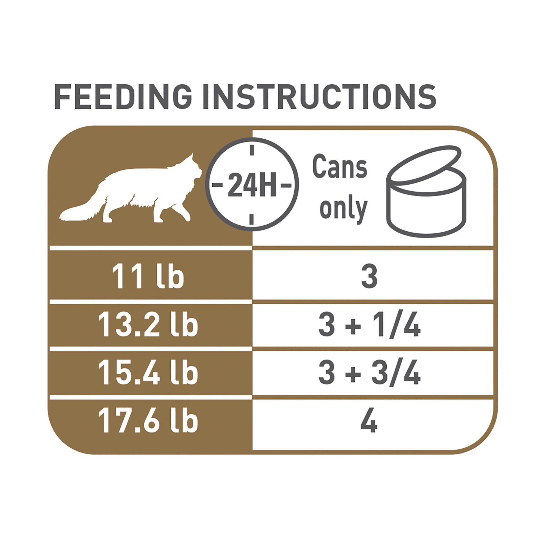 slide 9 of 9, Royal Canin Feline Breed Nutrition Maine Coon Thin Slices in Gravy Wet Cat Food, 12 oz