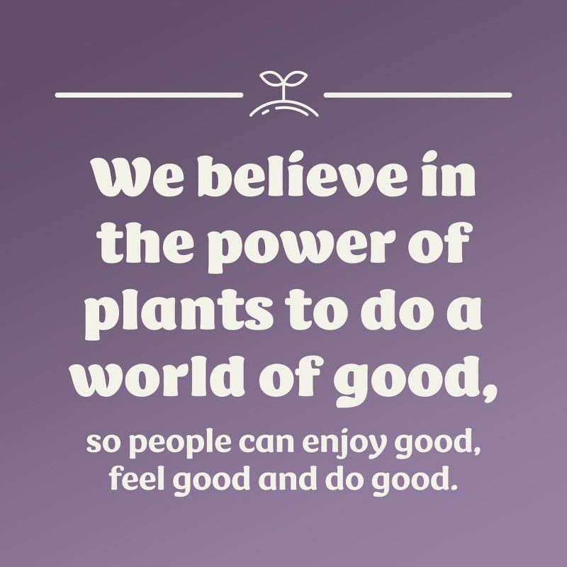 slide 3 of 8, Silk Oat Oatmeal Cookie Dairy-Free Gluten Free Creamer - 32 fl oz, 32 fl oz