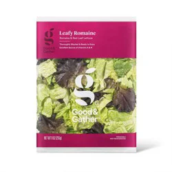 Fresh Leafy Romaine - 9oz - Good & Gather™