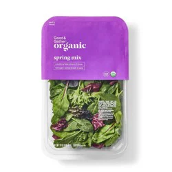 Fresh Organic Spring Mix Lettuce - 16oz - Good &amp; Gather™