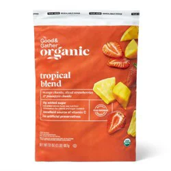 Organic Frozen Tropical Fruit Blend - 32oz - Good & Gather™