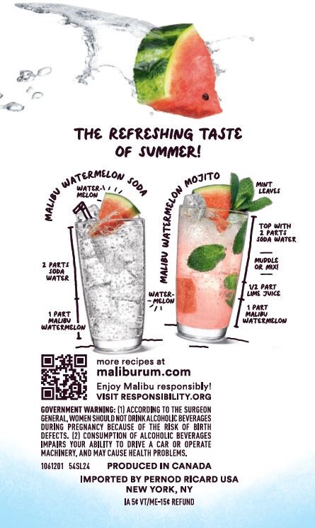 slide 3 of 8, Malibu White Rum with Watermelon Liqueur, 1 L Bottle, 21% ABV, 1 liter