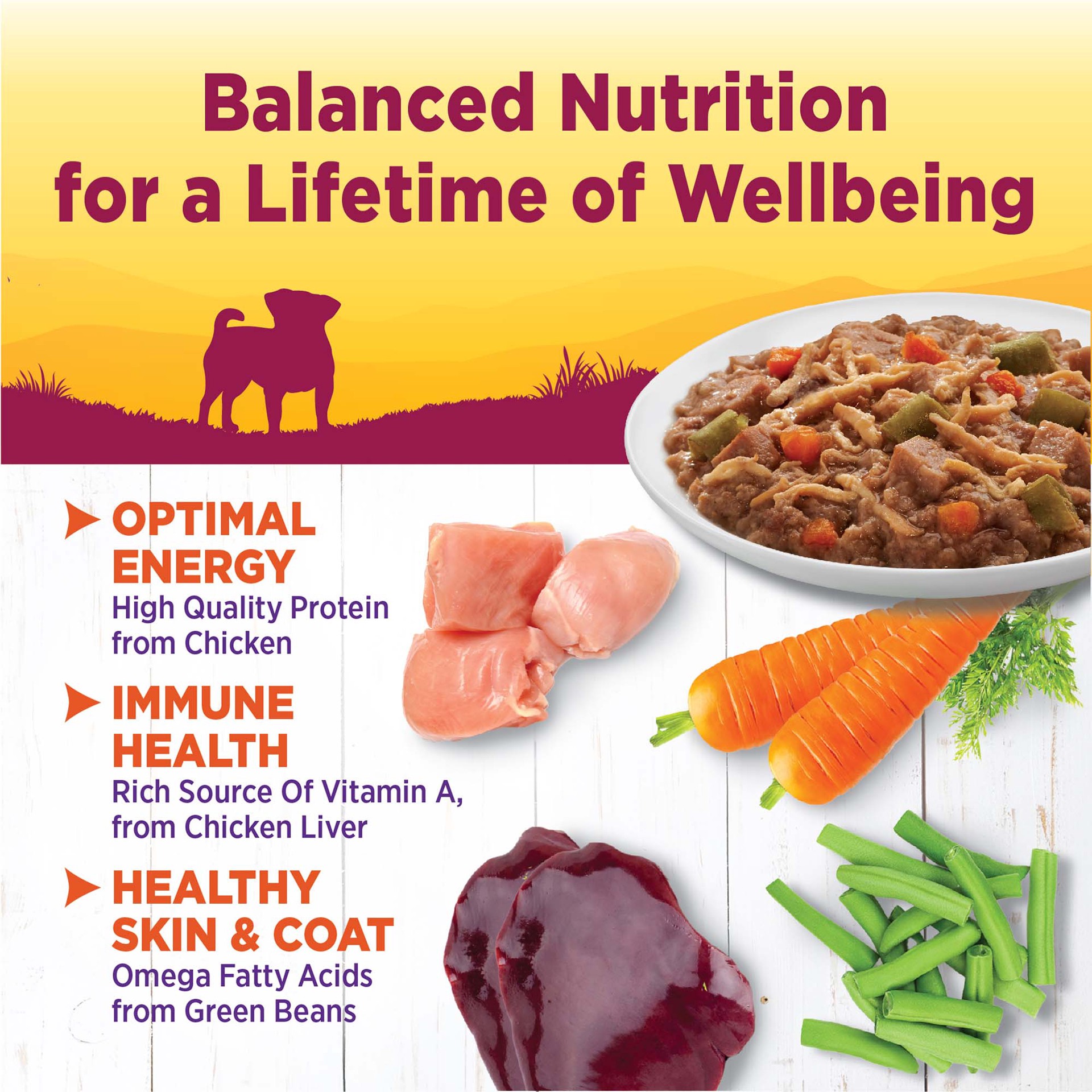 slide 5 of 5, Wellness Petite Shred Chick/Turk, 3 zzz