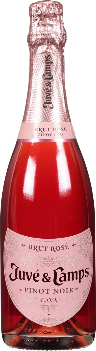 slide 5 of 12, Juve & Camps Brut Rose Pinot Noir 750 ml, 750 ml