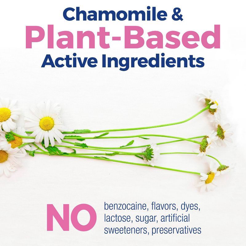 slide 6 of 10, Boiron Camilia Teething Drops for Daytime and Nighttime Relief of Painful or Swollen Gums and Irritability in Babies - 30ct, 30 ct