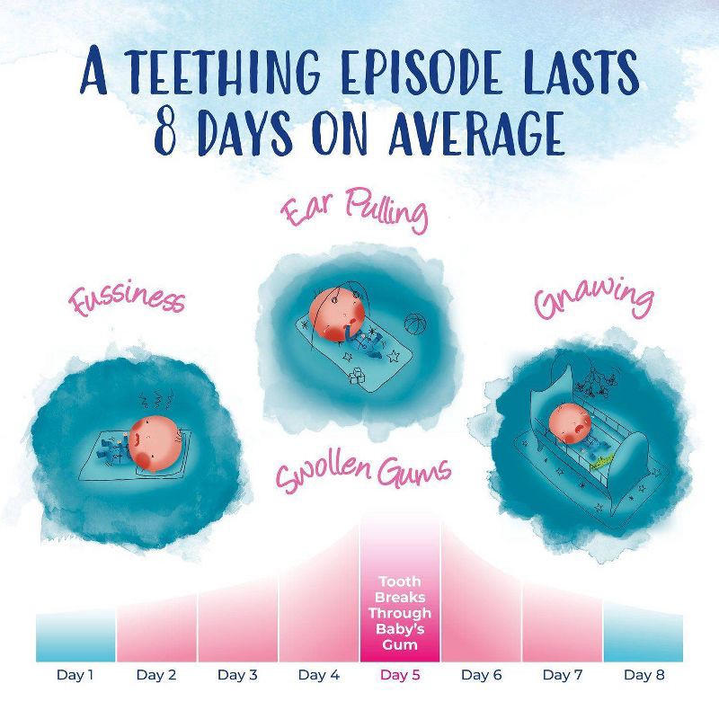 slide 8 of 10, Boiron Camilia Teething Drops for Daytime and Nighttime Relief of Painful or Swollen Gums and Irritability in Babies - 30ct, 30 ct