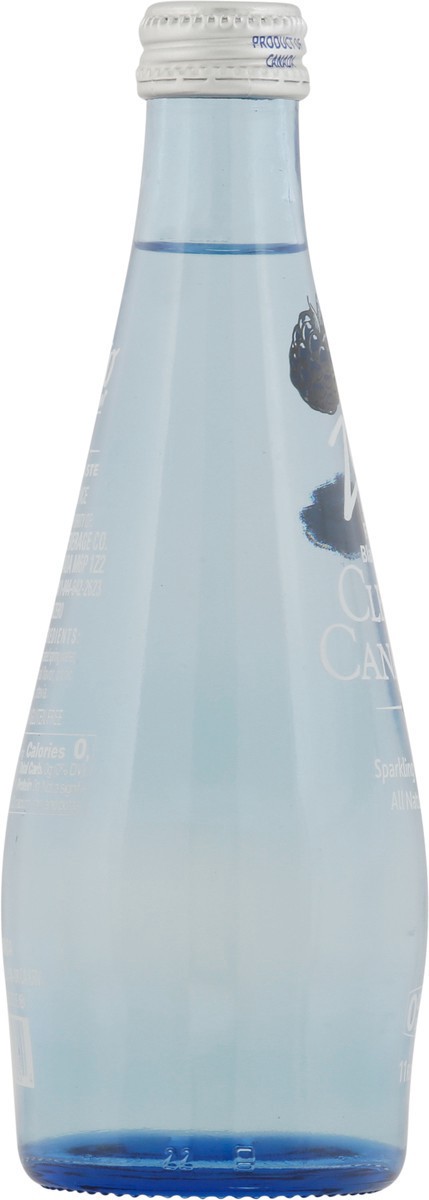 slide 9 of 9, Clearly Canadian Zero Sugar Forest Blackberry Water Beverage 11 Fl Oz Bottle, 11 oz