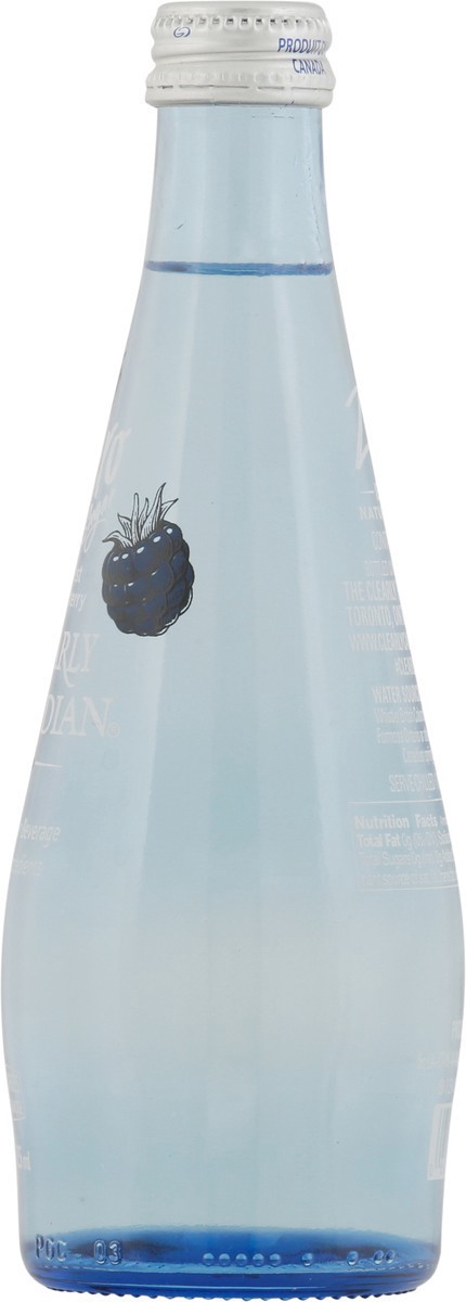 slide 2 of 9, Clearly Canadian Zero Sugar Forest Blackberry Water Beverage 11 Fl Oz Bottle, 11 oz