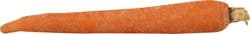 Produce Carrot 1 ea