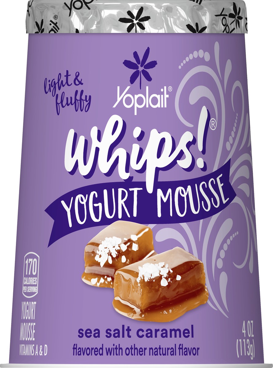 slide 2 of 13, Yoplait Whips! Sea Salt Caramel Yogurt Mousse 4 oz, 4 oz