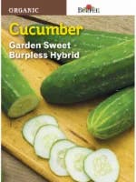 Burpee Garden Sweet Burpless Cucumber Seeds