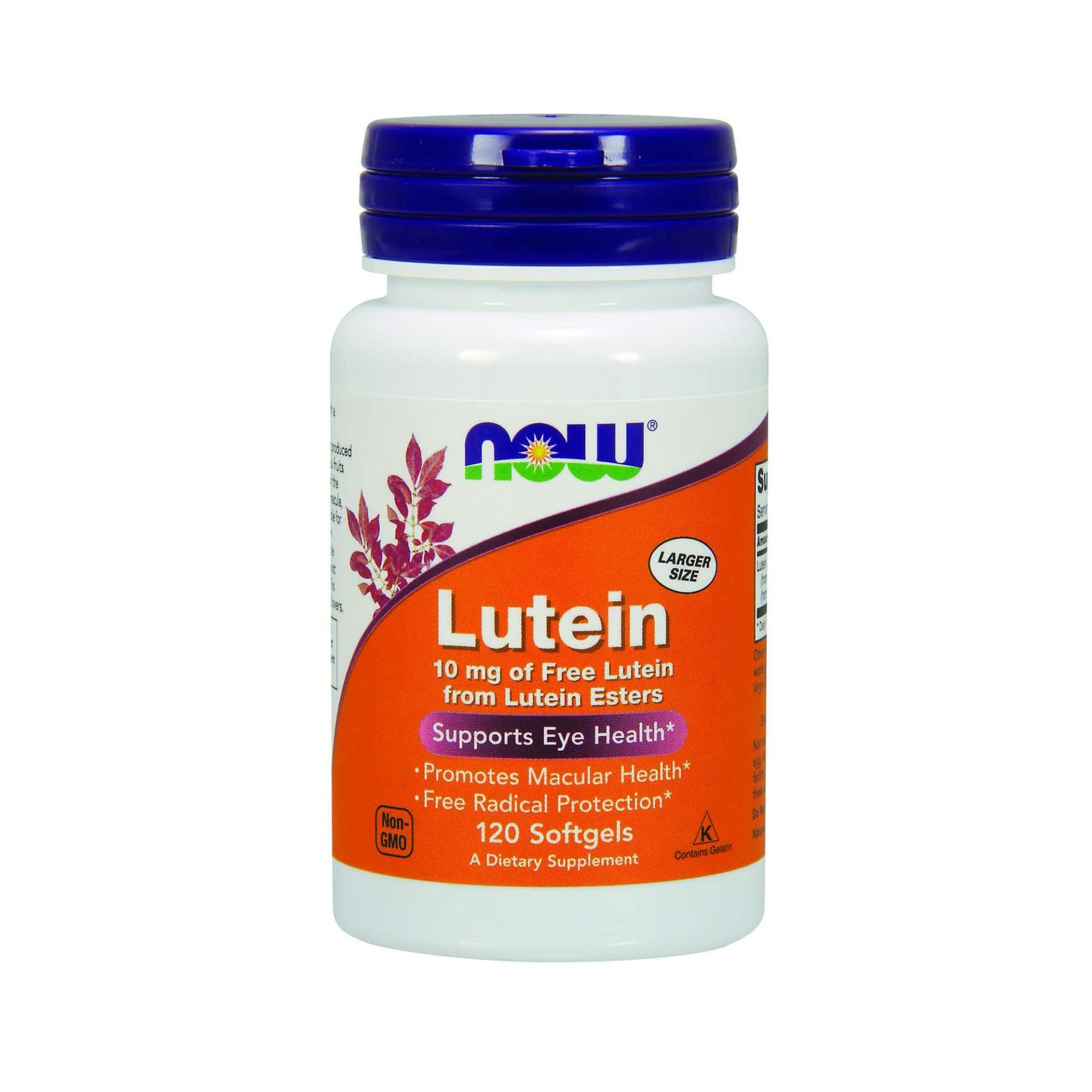 slide 1 of 1, Now Naturals Lutein - 10 mg, 120 ct