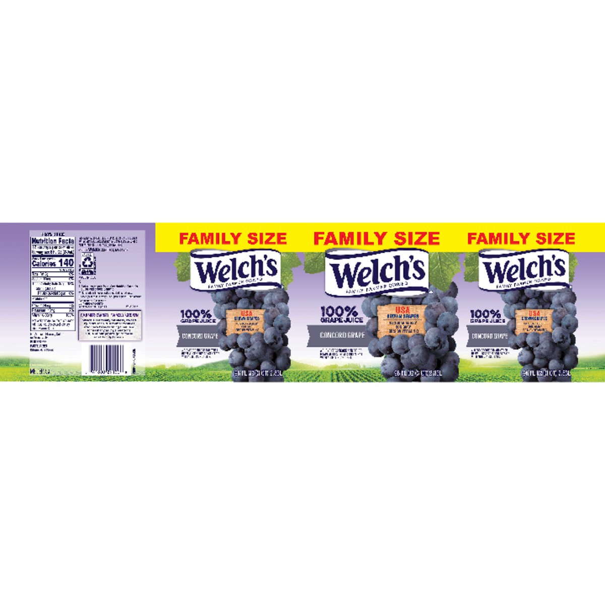 slide 10 of 11, Welch's 100% Grape Juice, Concord Grape, 96 fl oz Bottle, 96 fl oz