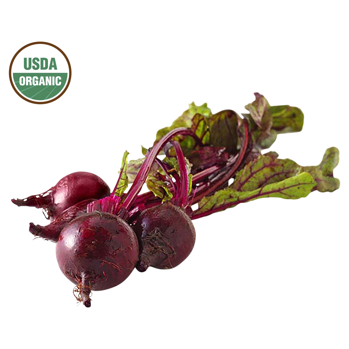 slide 1 of 1, Ocean Mist Red Beets, organic, 1 ct