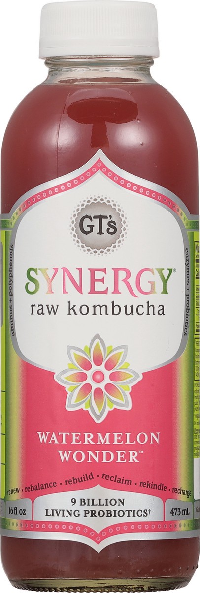 slide 5 of 13, GT's Watermelon Wonder Kombucha 16 fl oz, 16 fl oz