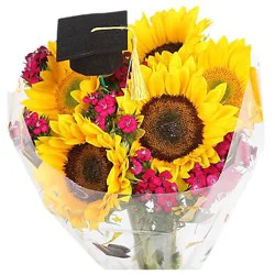 Sunny Roads Ahead - Ea