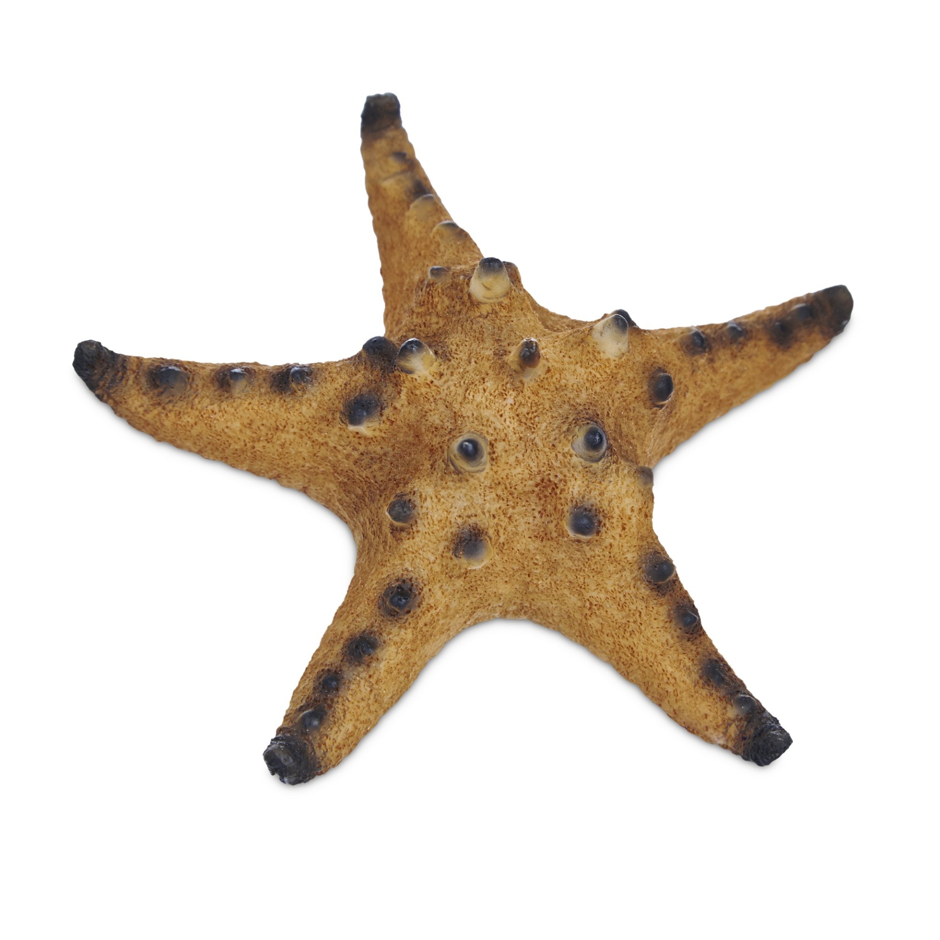 slide 1 of 1, Imagitarium Starfish Resin Aquarium Decor, MED