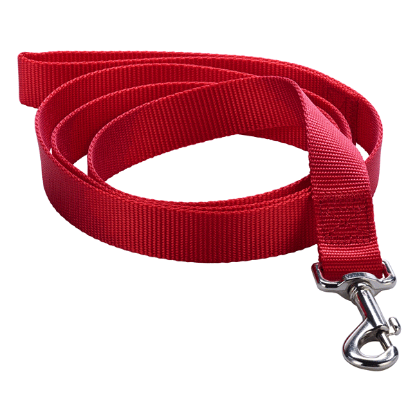 slide 1 of 1, Meijer Dog Leash, Red, Large, 1 ct