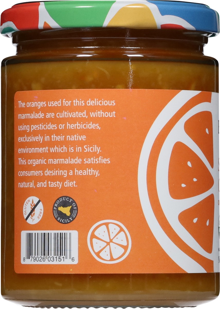 slide 8 of 13, Bono Organic Marmalade 12.4 oz, 12.4 oz