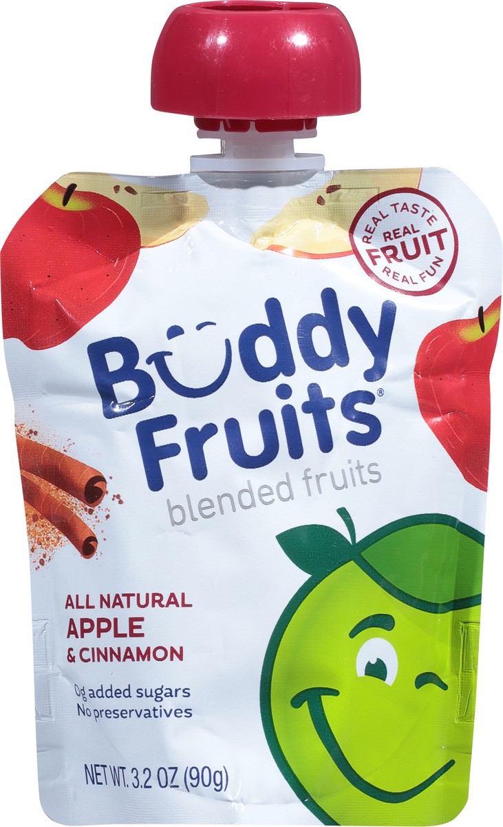 slide 6 of 9, Buddy Fruitss Original Apple Cinnamon Pure Blended Fruits Pouch, 3.2 oz