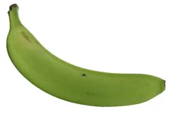 Bananas Green