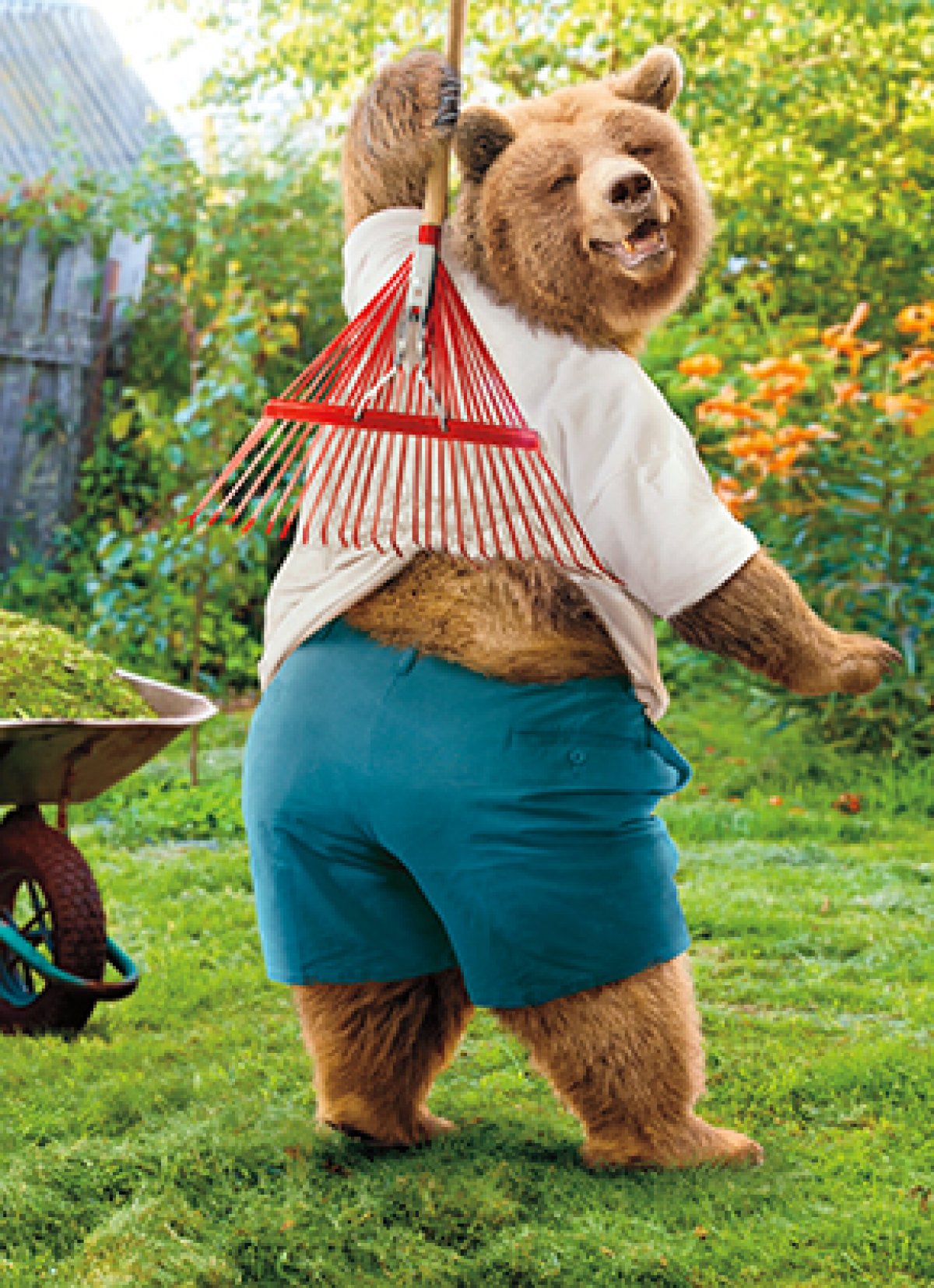 slide 1 of 1, Avanti Back Scratching Bear Card, 1 ct