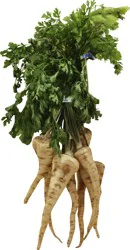 Parsley Root 1 ea