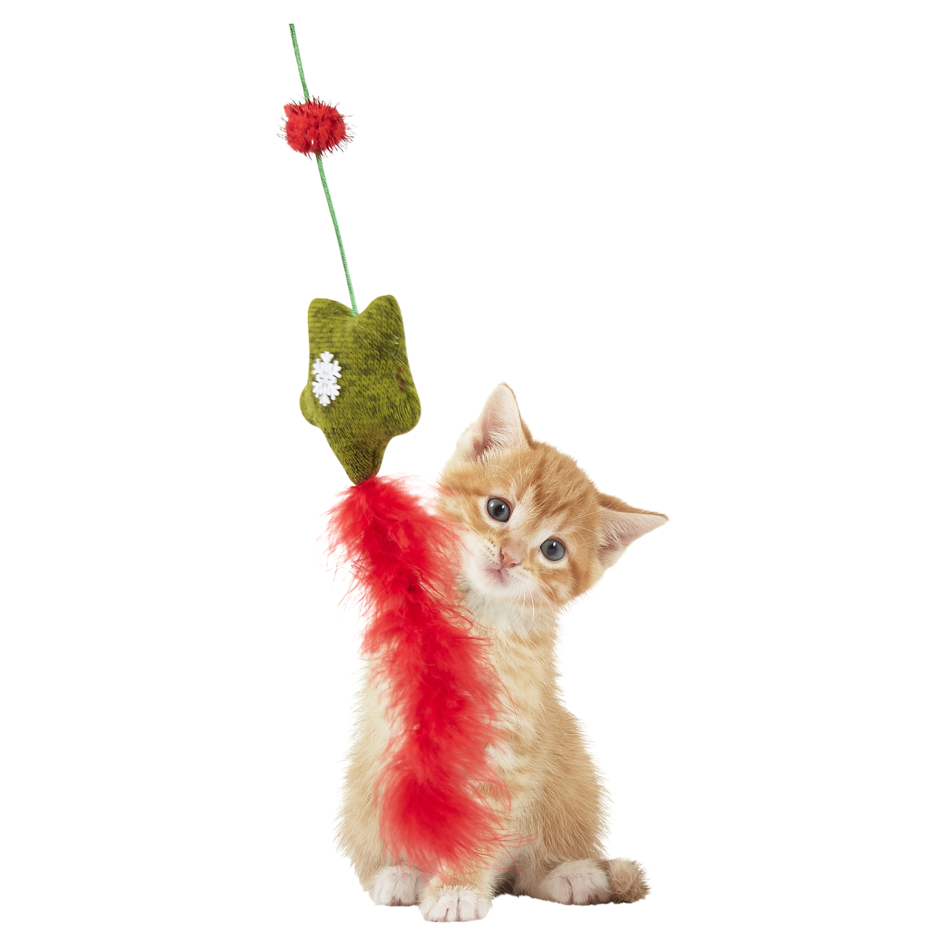 Meijer Holiday Green Star Cat Wand Toy 1 ct Shipt