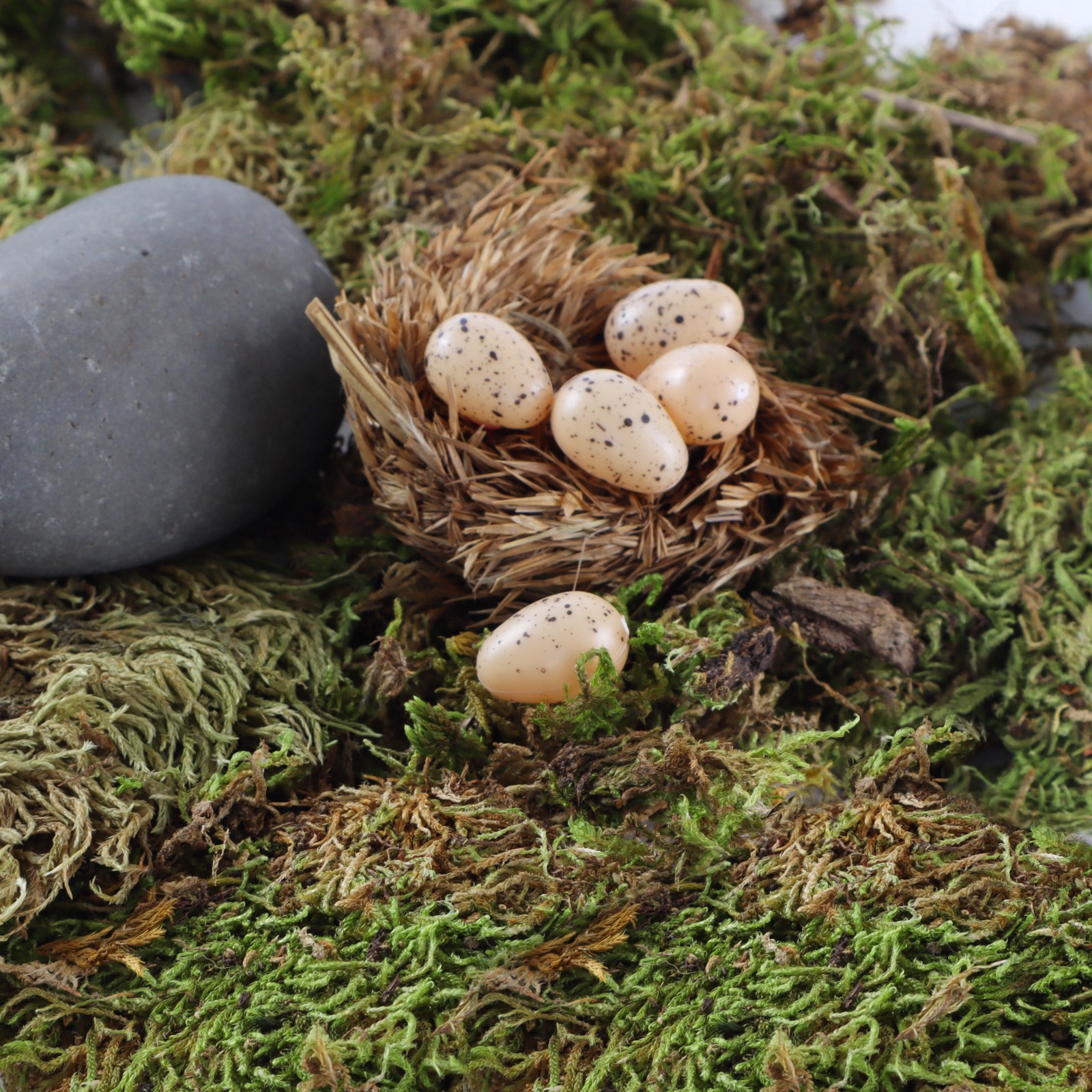 slide 2 of 4, Nature Center Speckled Tan Eggs By Ashland, 8 in x 1 in x 1 in