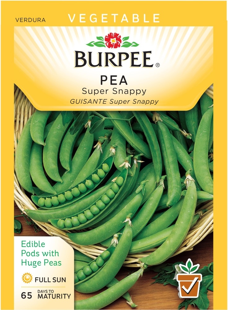 slide 1 of 1, Burpee Super Snappy Pea Seeds, 21 gram