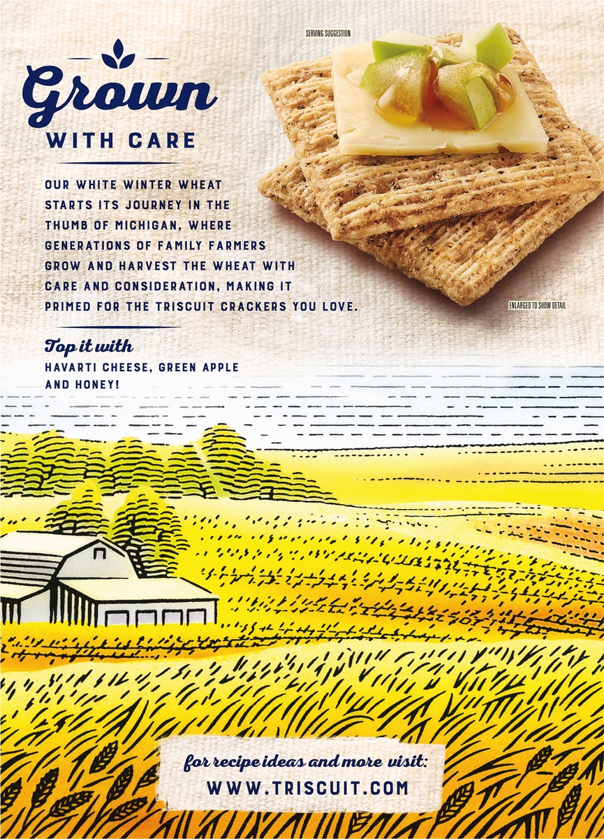 slide 2 of 9, Triscuit Cracked Pepper & Olive Oil Whole Grain Wheat Crackers, Family Size, 12.5 oz, 12.5 oz