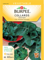 slide 1 of 1, Burpee Georgia Collard Seeds, 1 ct