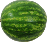 slide 1 of 1, Mini Seedless Watermelon, 1 ct