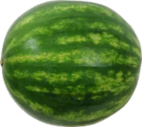 Mini Seedless Watermelon