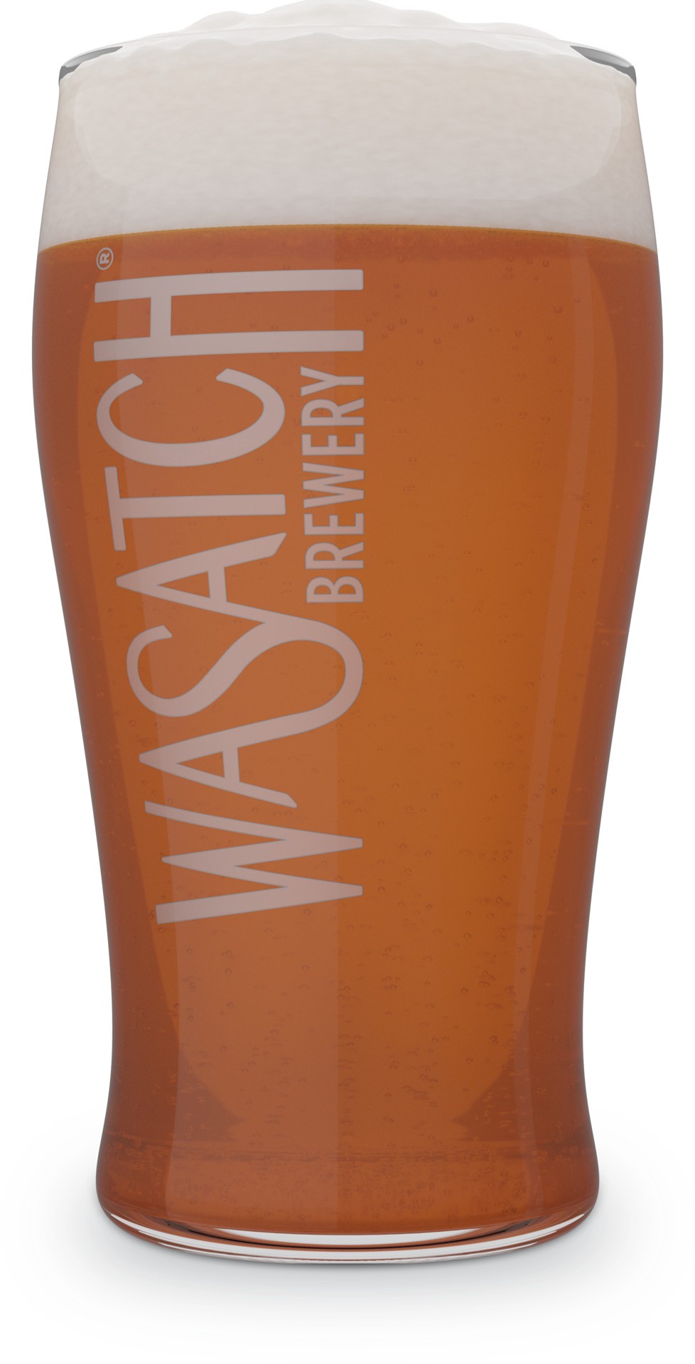 slide 6 of 6, Wasatch Pumpkin Ale 6 Pack 12 fl oz Can, 72 fl oz