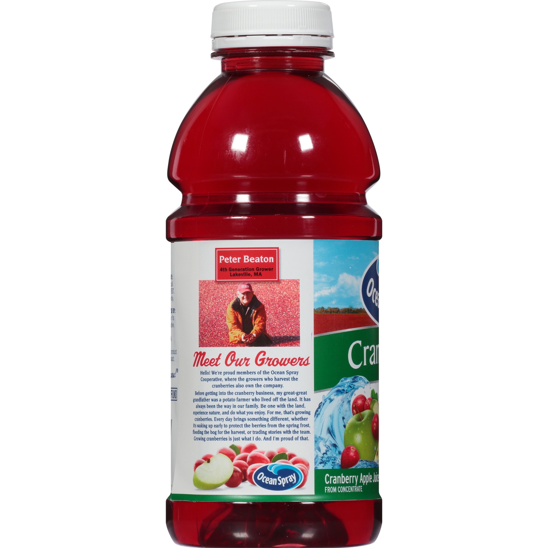 slide 2 of 6, Ocean Spray Cran Apple Juice, 25 fl oz