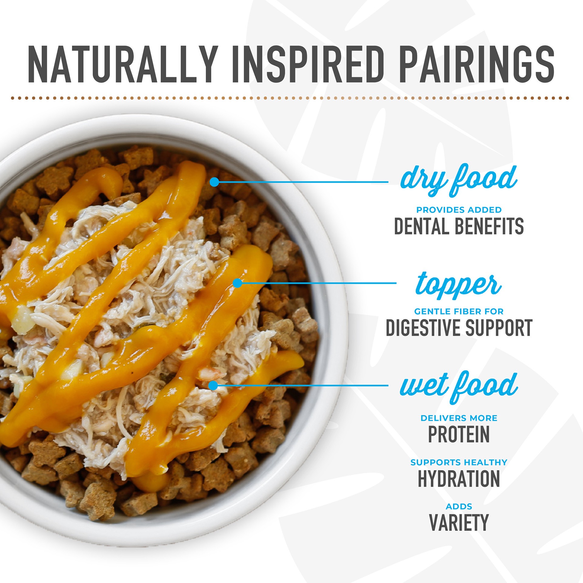 slide 5 of 7, Tiki Dog® Taste Of Italy All Life Stage Wet Dog Food - Chicken & Pasta Carbonara, 3 oz