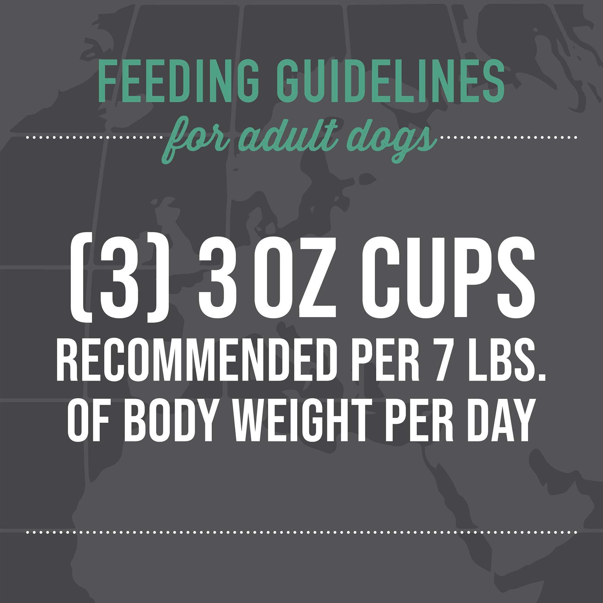 slide 7 of 7, Tiki Dog® Taste Of Italy All Life Stage Wet Dog Food - Chicken & Pasta Carbonara, 3 oz