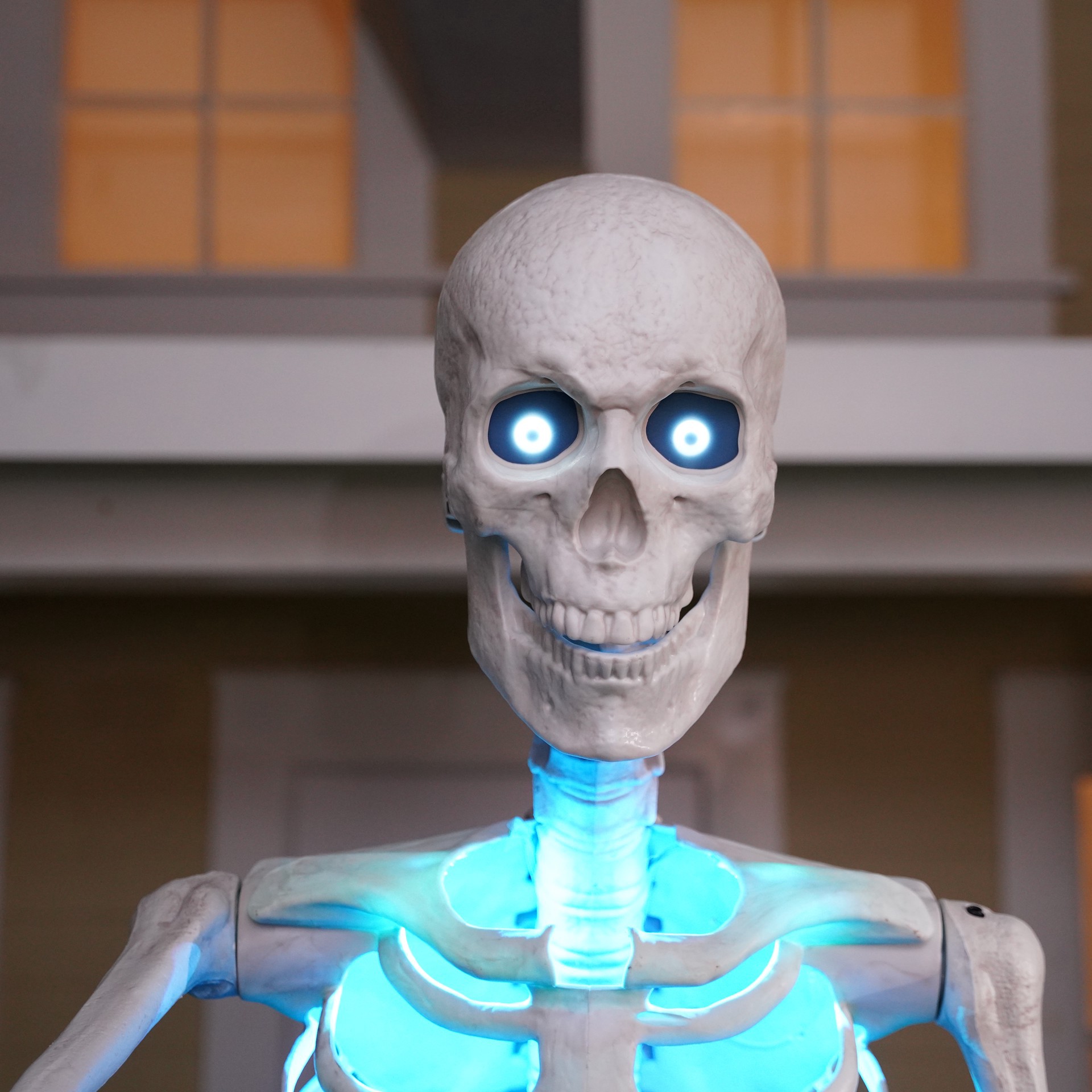 slide 7 of 7, 8ft. Skeleton By Ashland, 8 ft