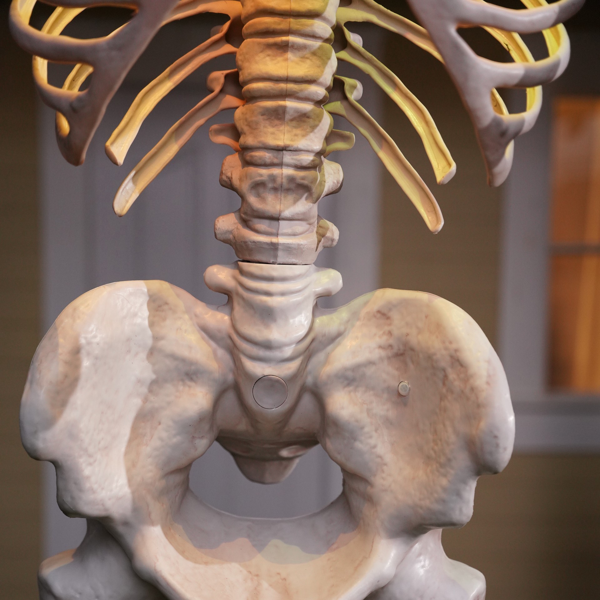 slide 2 of 7, 8ft. Skeleton By Ashland, 8 ft