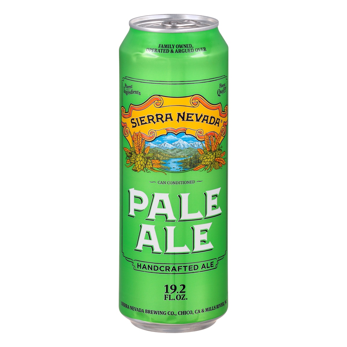 Sierra Nevada Pale Ale 19.2 fl oz Shipt