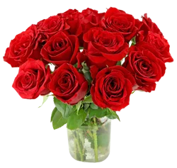 Bloom Haus Belle Blooms Fresh Flower Bouquet Arrangement in Vase, 18 stems