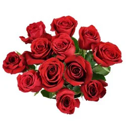 Garden Statuary Dozen Rose Bunch, Red