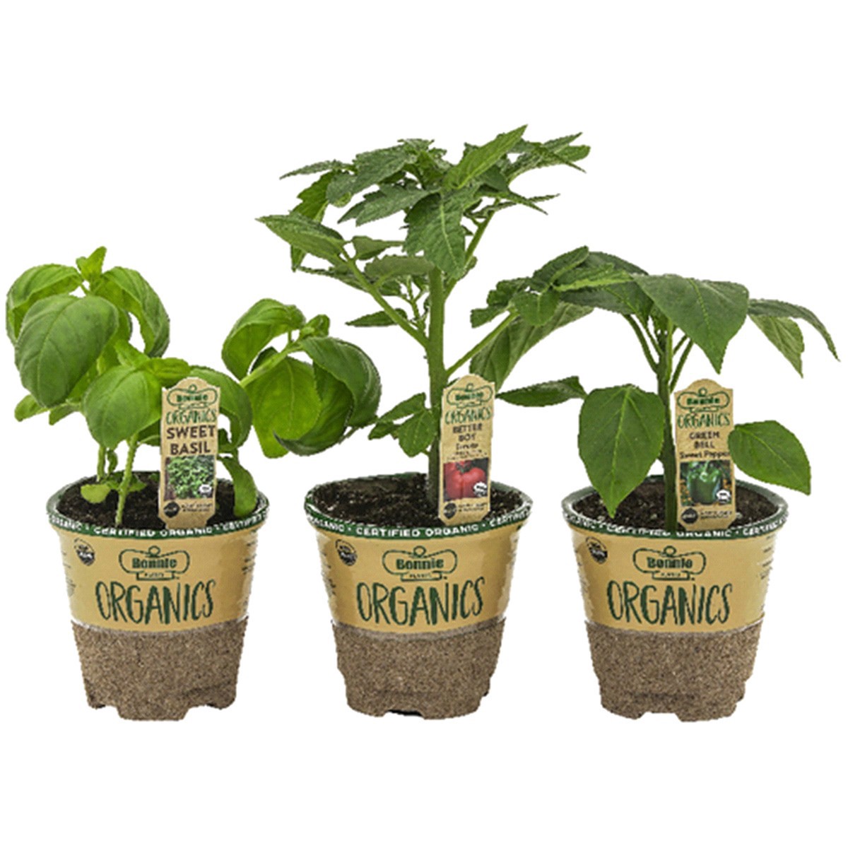 slide 1 of 1, BONNIE PLANTS BONNIE Vegetable and Herb Organics 4.0 POT, 10 ct