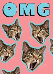 Avanti Omg Cat - Standout Card