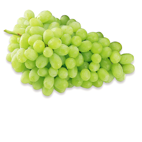 slide 1 of 1, Grapes Green Seedless Clamshell Prepacked, 2 lb