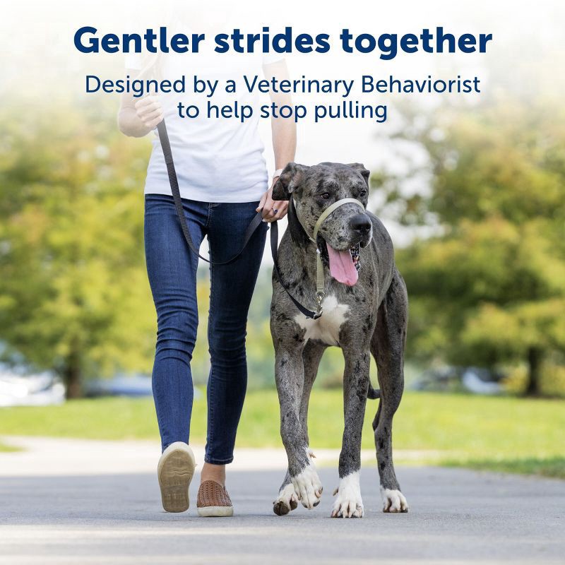 slide 6 of 7, PetSafe Products Blue Gentle Leader Headcollars, MED