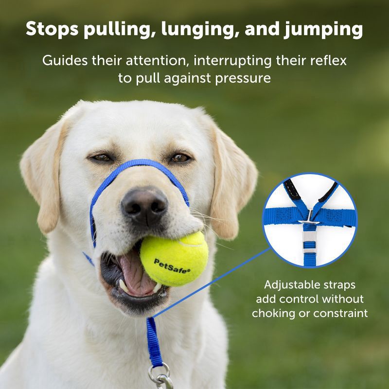 slide 7 of 7, PetSafe Products Blue Gentle Leader Headcollars, MED