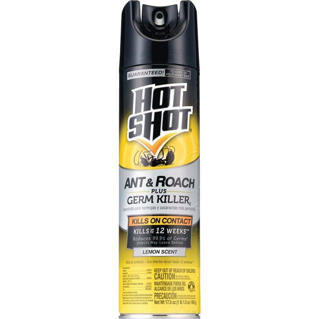 slide 1 of 1, Hot Shot Roach Ant Kill, 17.5 oz