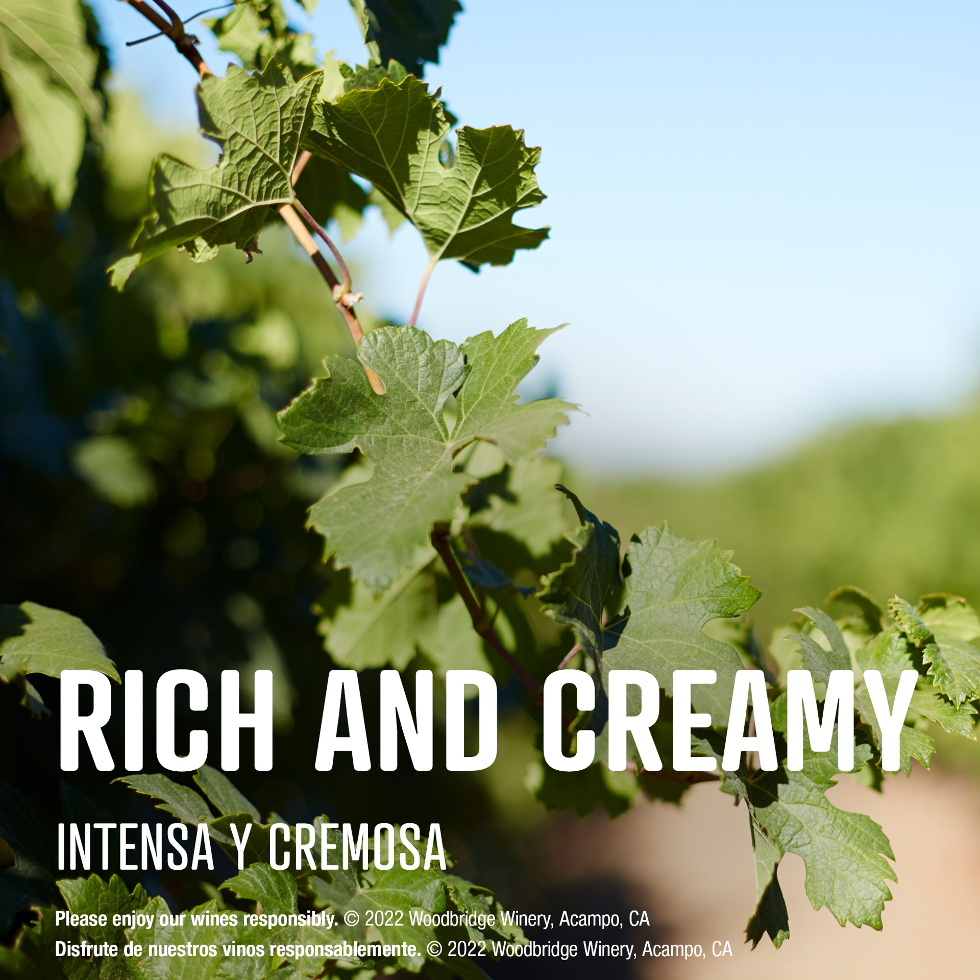 slide 4 of 10, Woodbridge by Robert Mondavi By Robert Mondavi Buttery Chardonnay, 3000 ml